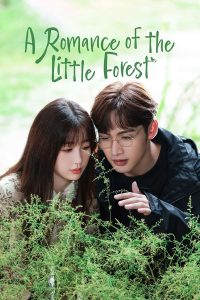 مسلسل A Romance of the Little Forest موسم 1 حلقة 31 مسلسل A Romance of the Little Forest موسم 1 حلقة 31