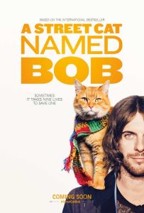 فيلم A Street Cat Named Bob 2016 مترجم فيلم A Street Cat Named Bob 2016 مترجم