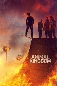 مسلسل Animal Kingdom موسم 6 حلقة 6 مسلسل Animal Kingdom موسم 6 حلقة 6