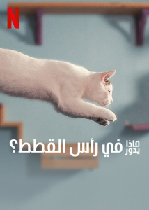 فيلم Inside the Mind of a Cat 2022 مترجم فيلم Inside the Mind of a Cat 2022 مترجم