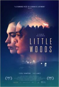 فيلم Little Woods 2018 مترجم فيلم Little Woods 2018 مترجم