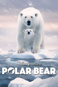 فيلم Polar Bear 2022 مترجم فيلم Polar Bear 2022 مترجم