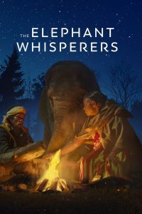 فيلم The Elephant Whisperers 2022 مترجم فيلم The Elephant Whisperers 2022 مترجم