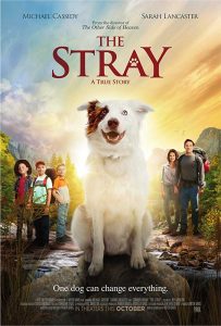 فيلم The Stray 2017 مترجم فيلم The Stray 2017 مترجم
