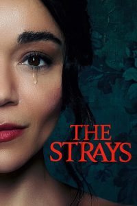 فيلم The Strays 2023 مترجم فيلم The Strays 2023 مترجم