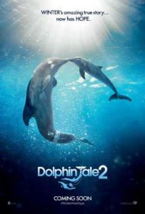 فيلم Dolphin Tale 2 2014 مترجم فيلم Dolphin Tale 2 2014 مترجم