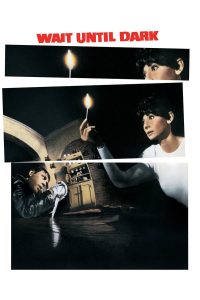 فيلم Wait Until Dark 1967 مترجم فيلم Wait Until Dark 1967 مترجم