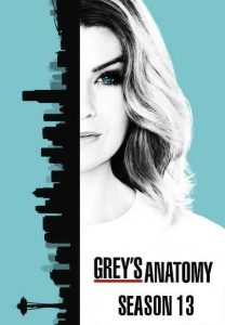 مسلسل Greys Anatomy موسم 13 حلقة 10 مسلسل Greys Anatomy موسم 13 حلقة 10