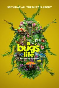 مسلسل A Real Bug's Life موسم 1 حلقة 5 مسلسل A Real Bug's Life موسم 1 حلقة 5