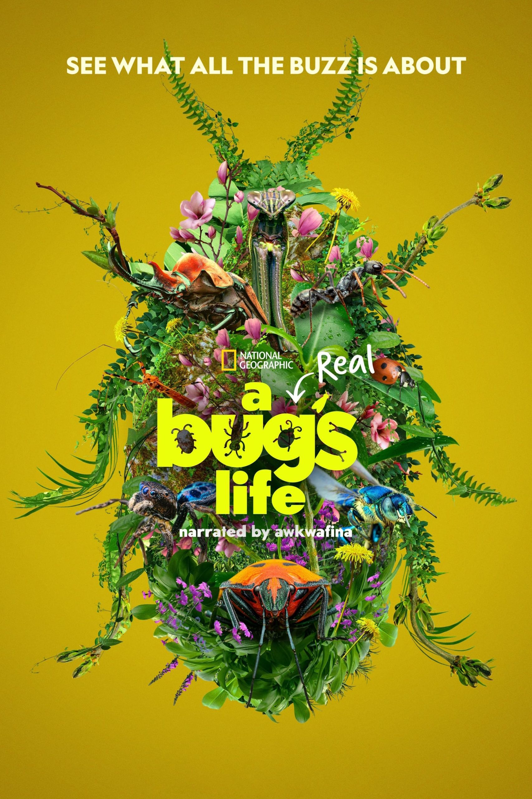 مسلسل A Real Bug's Life مسلسل A Real Bug's Life