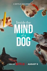 فيلم Inside the Mind of a Dog 2024 مترجم فيلم Inside the Mind of a Dog 2024 مترجم